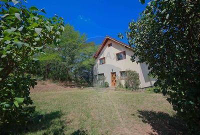 Casa de vanzare cu 1800 mp teren, Paleu - 20