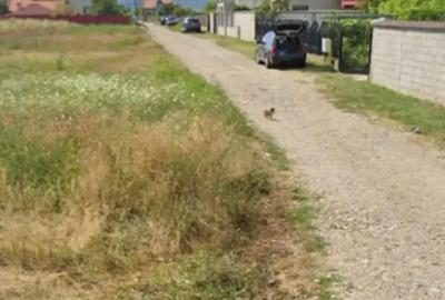 Teren de 400 mp, în Central