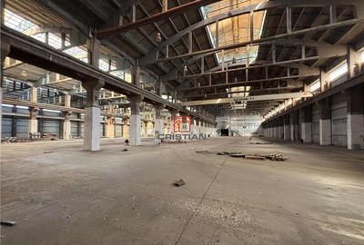 Spațiu comercial, de 5,000 mp, în Zona Liberă - 3