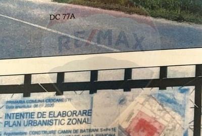 DE VANZARE Teren intravilan Dambovita Urziceanca Ciocanesti - 3