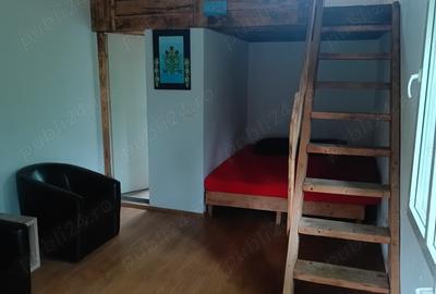 Cabana Colibi?a pe malul lacului Cabana Colibi?a pe malul lacului - 4