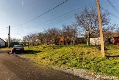 Casă cu 3 camere cu Teren 800 Mp în Cetariu - 12