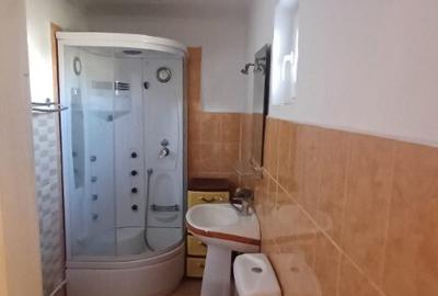 Casa sat NEDELEA + teren 2660 mp - 21