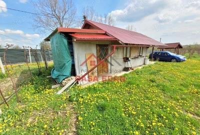 Teren extravilan in Baicoi 10.000mp plantatie mure --80.000e - 8