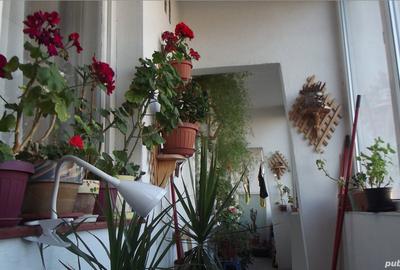 Apartament cu 2 camere semidecomandat în Gării - 10