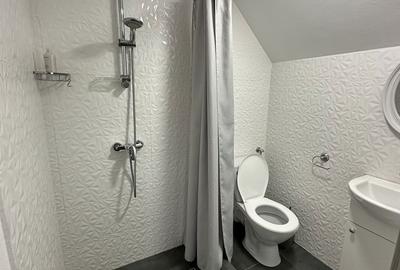 Casă cu 4 camere în Haieu - 6