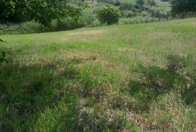 Casă în Central - 3