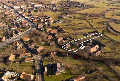 FILM! Casa cu sura, pivnita, balta cu pesti, 2.280 mp teren roditor, Lemnia, Cov - 21