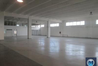 Spatiu industrial de inchiriat in Filipestii de Targ, 2500 mp #12438 - 2