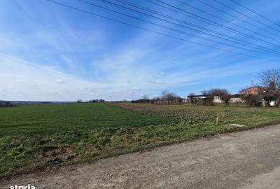 Spațiu comercial, în Valu lui Traian - 8