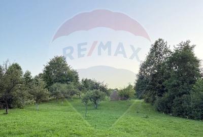 Teren in cea mai turistica localitate din Romania - Breb... - 3