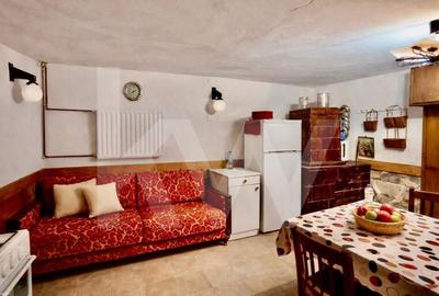 Casă individuală cu 2 camere cu Canalizare în Turnu Roșu - 3