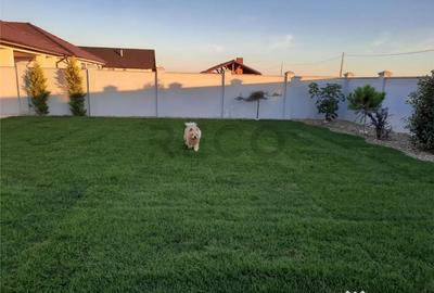 Casă cu 3 camere cu Teren 501 Mp în Sântandrei - 3