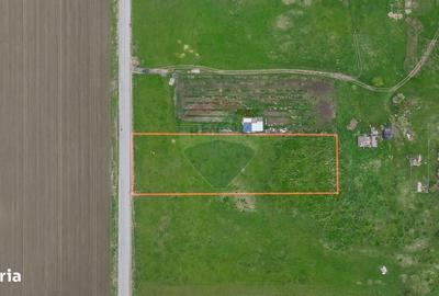 Spațiu comercial, în Centură - 8