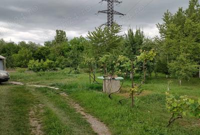 Casa de vanzare in Broscauti Casa de vanzare in Broscauti - 4