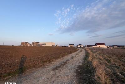 Teren de 2000 mp, în Răchiți