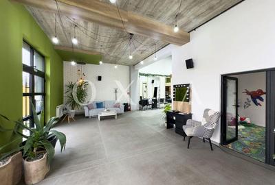 OX603 Oportunitate de Afacere Salon de Infrumusetare Premium - 19