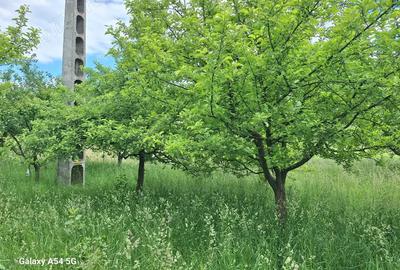 Casă cu 3 camere în Rebrișoara - 6