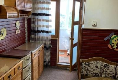 Apartament 3 camere, Calea Bucuresti, mobilat, centrala - 11