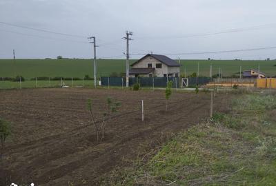 Teren de 791 mp, în Central - 6