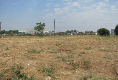 Magurele - Atomistilor, Zona Mixta - 8