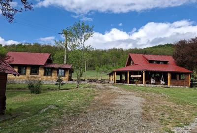 Casă cu 4 camere în Vârfurile - 5