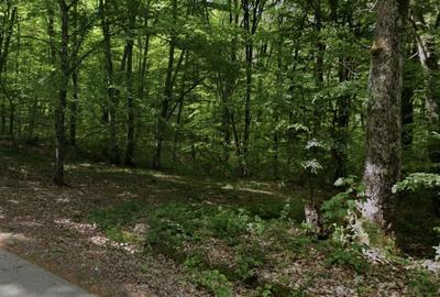 Teren extravilan de 4480 mp, în Lăzăreni - 2