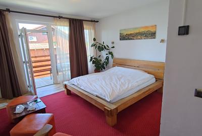 Pensiune si casa de locuit cu 3200 mp teren in Sibiu cartier Gusterita - 12