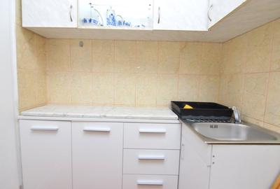 INCHIRIERE GARSONIERA DRISTOR - RACARI - LOC DE PARCARE - 10