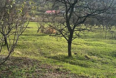 Teren de 2211 mp, în Dănești - 1