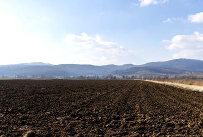 Teren agricol extravilan de 19239 mp, în Vulcan - 13