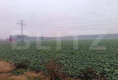 Teren de 15000 mp, în Păulești - 3