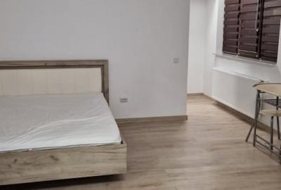 Garsonieră decomandată în Podu Roș - 2