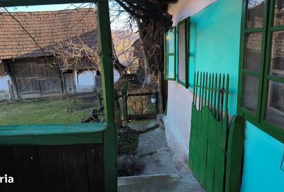 Casă cu 4 camere cu Teren 1300 Mp în Măgherani - 5