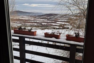 Teren de 17500 mp, în Tazlău - 14