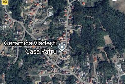 Teren de 8000 mp, în Vlădești - 2