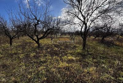 Teren de 3088 mp, în Dealuri Oradea