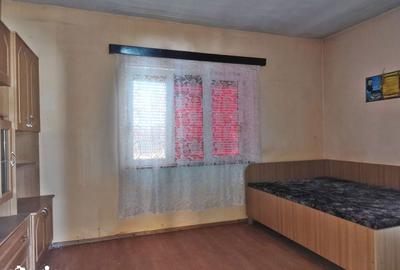 Casă cu 5 camere cu Teren 4122 Mp în Cociuba Mare - 19