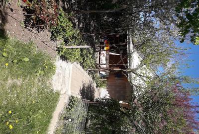Teren de 1150 mp, în Central - 3