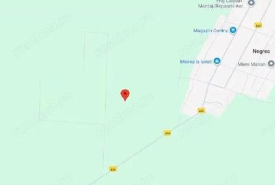 Teren de 9000 mp, în Schela - 3