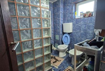 Casa Glina 223mp P+M an 2020, 967mp teren - 18