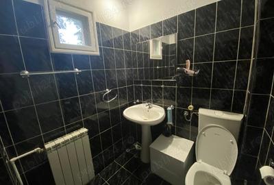Proprietar, 5 camere, zona centrala, ideala pentru familie, inchiriere - 8
