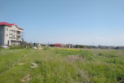 Teren 1663 mp intravilan, zona Peco Eforie Nord - 3