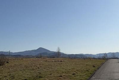 Spațiu comercial, în Central - 2