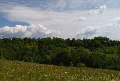 Teren de 3600 mp, în Aluniș - 5