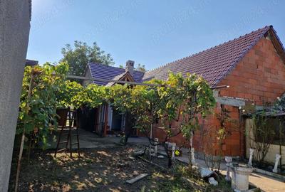 Casa de vanzare in orasul Deta - 6