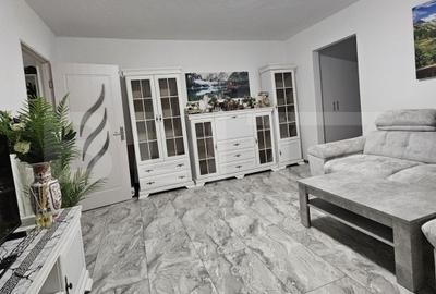 Apartament 2 camere, 50.59 mp, zona Dambovita - 10