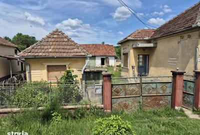 Casă cu 4 camere cu Teren 864 Mp în Bârzava - 4