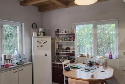 Casă cu 5 camere cu Teren 2000 Mp în Viile Satu Mare - 8