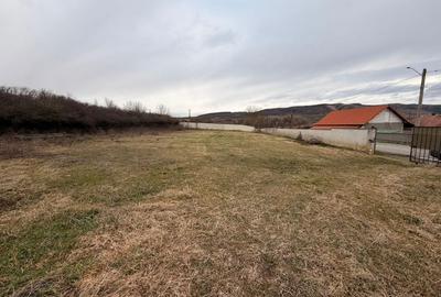 Teren de 1863 mp, în Vest - 2